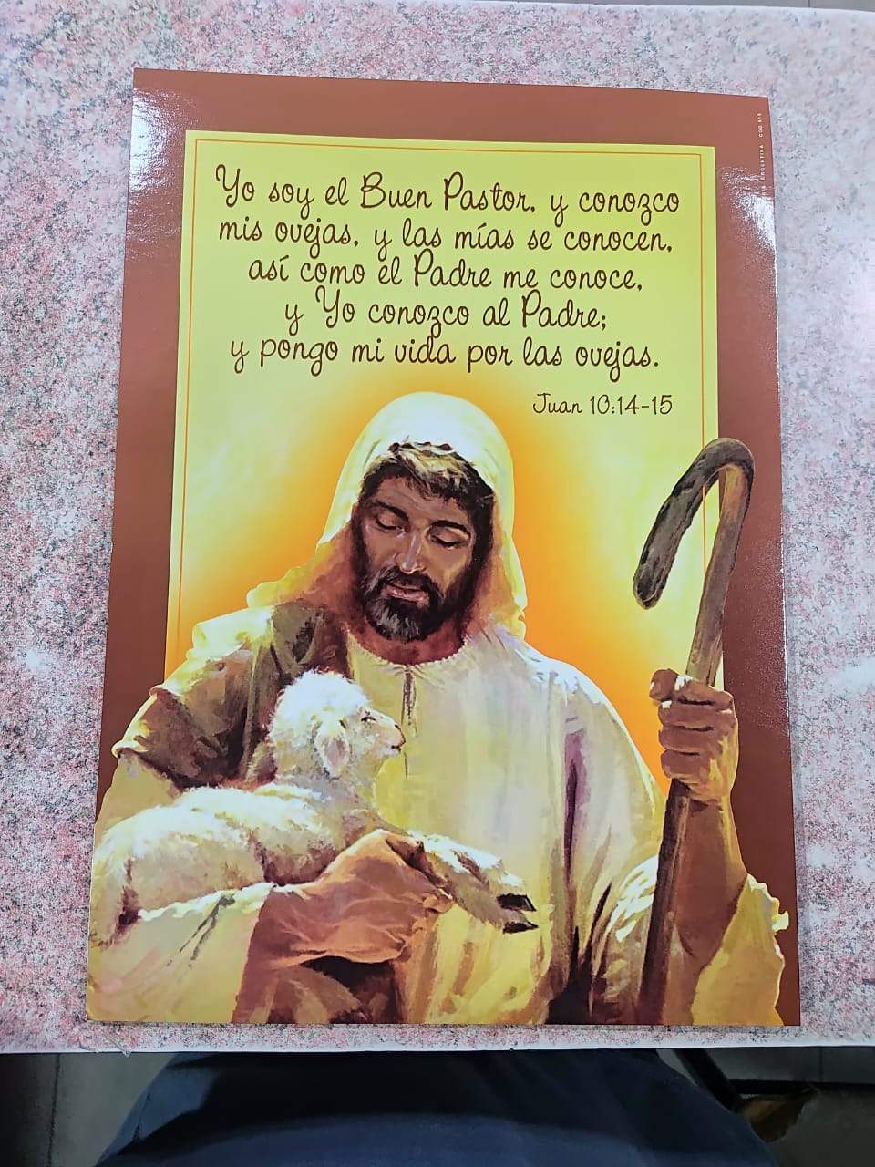 ¡LÁMINAS MEDIANAS: EL TAMAÑO PERFECTO PARA APRENDER Y DECORAR! 🤩✨