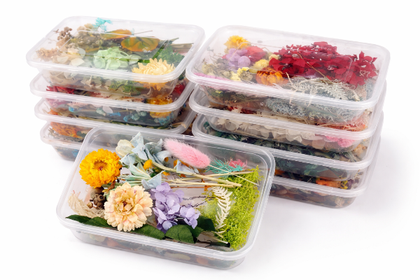 🌸✨ Bandejas de Flores Secas 🌿💫