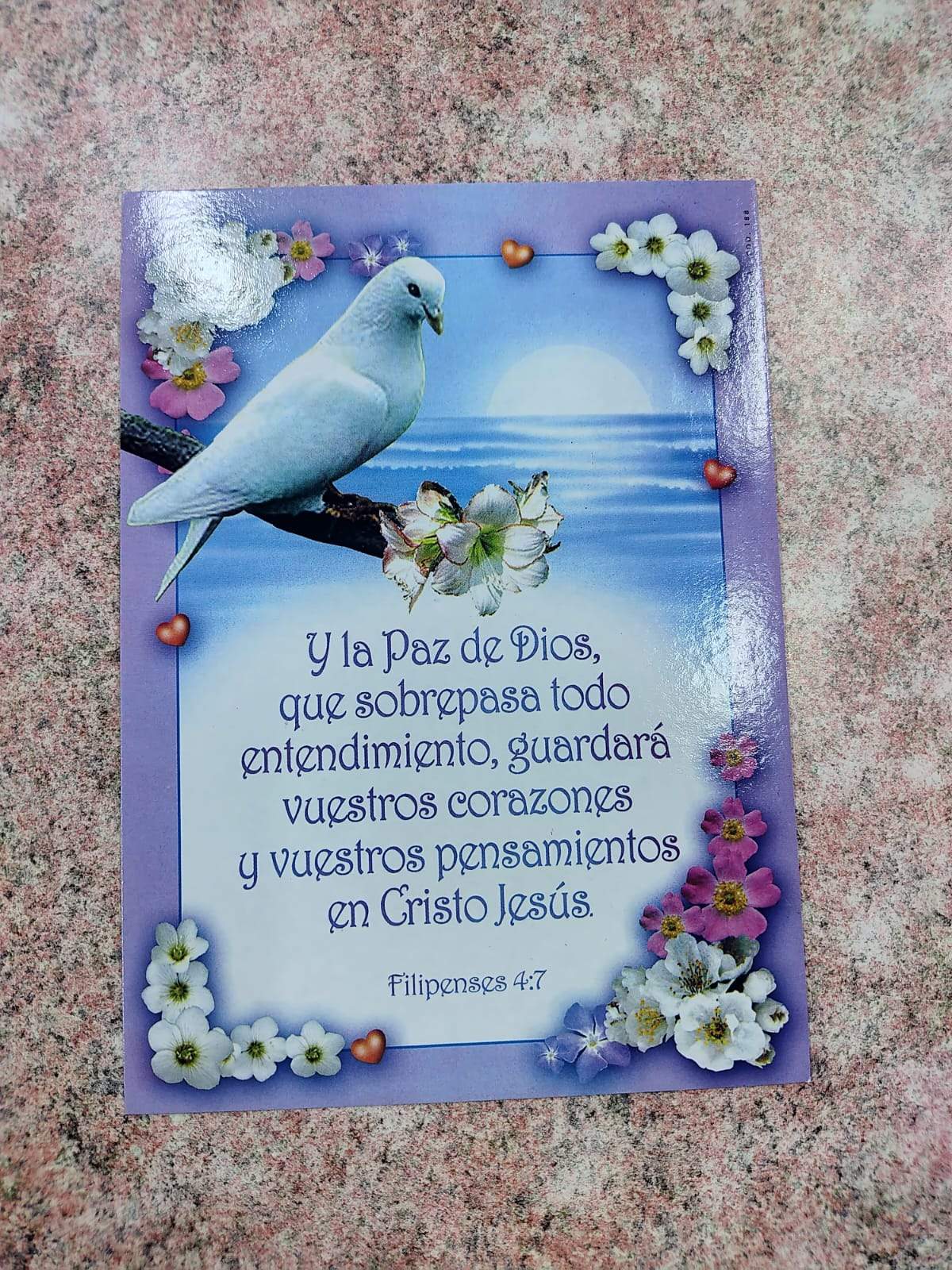 FOTOS POSTALES 17 x 12 cm: ¡FE EN PEQUEÑAS OBRAS DE ARTE! 🙏📸