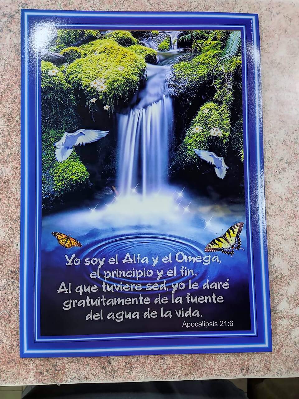 ¡LÁMINAS MEDIANAS: EL TAMAÑO PERFECTO PARA APRENDER Y DECORAR! 🤩✨