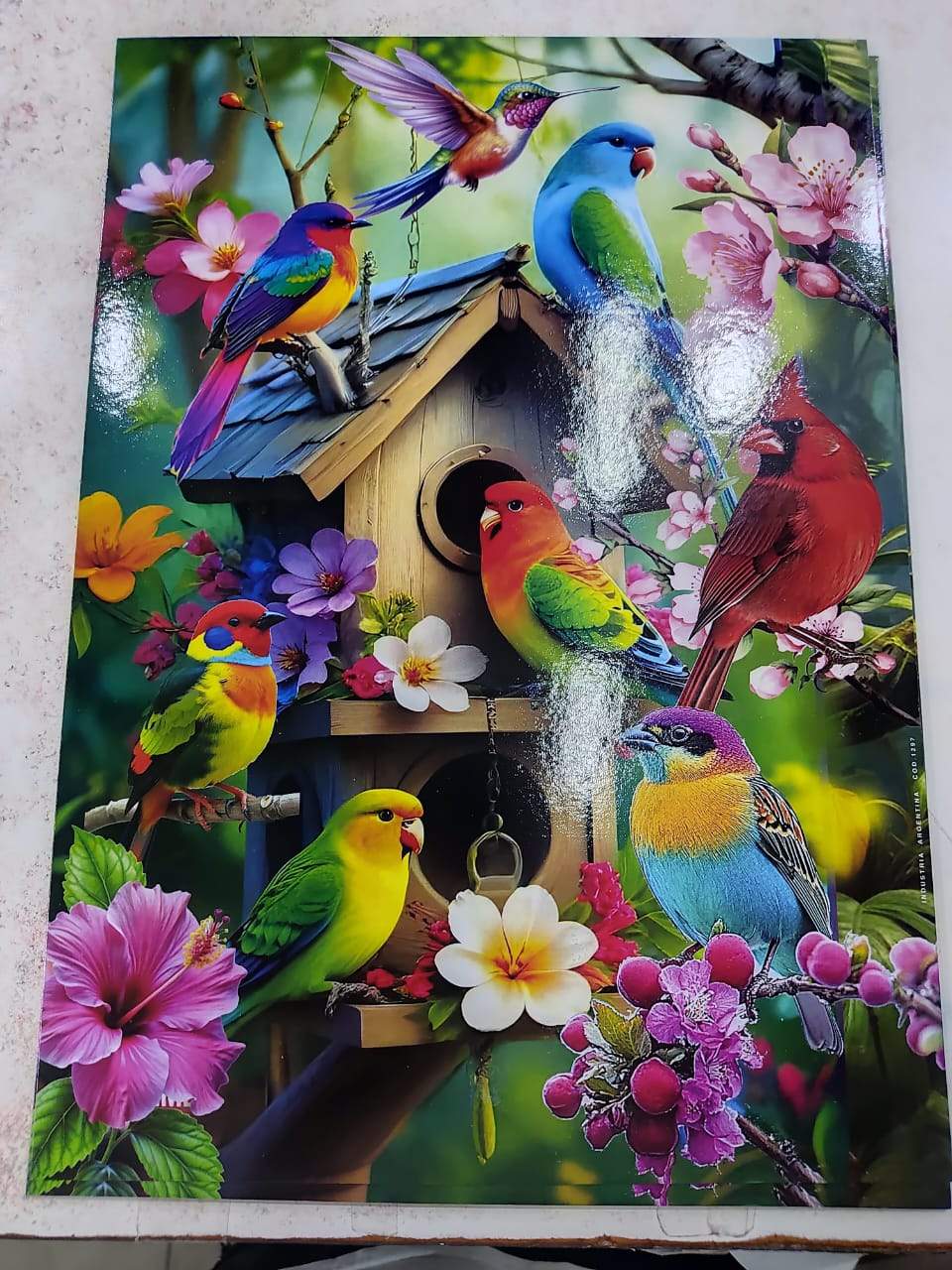 ¡LÁMINAS MEDIANAS: EL TAMAÑO PERFECTO PARA APRENDER Y DECORAR! 🤩✨