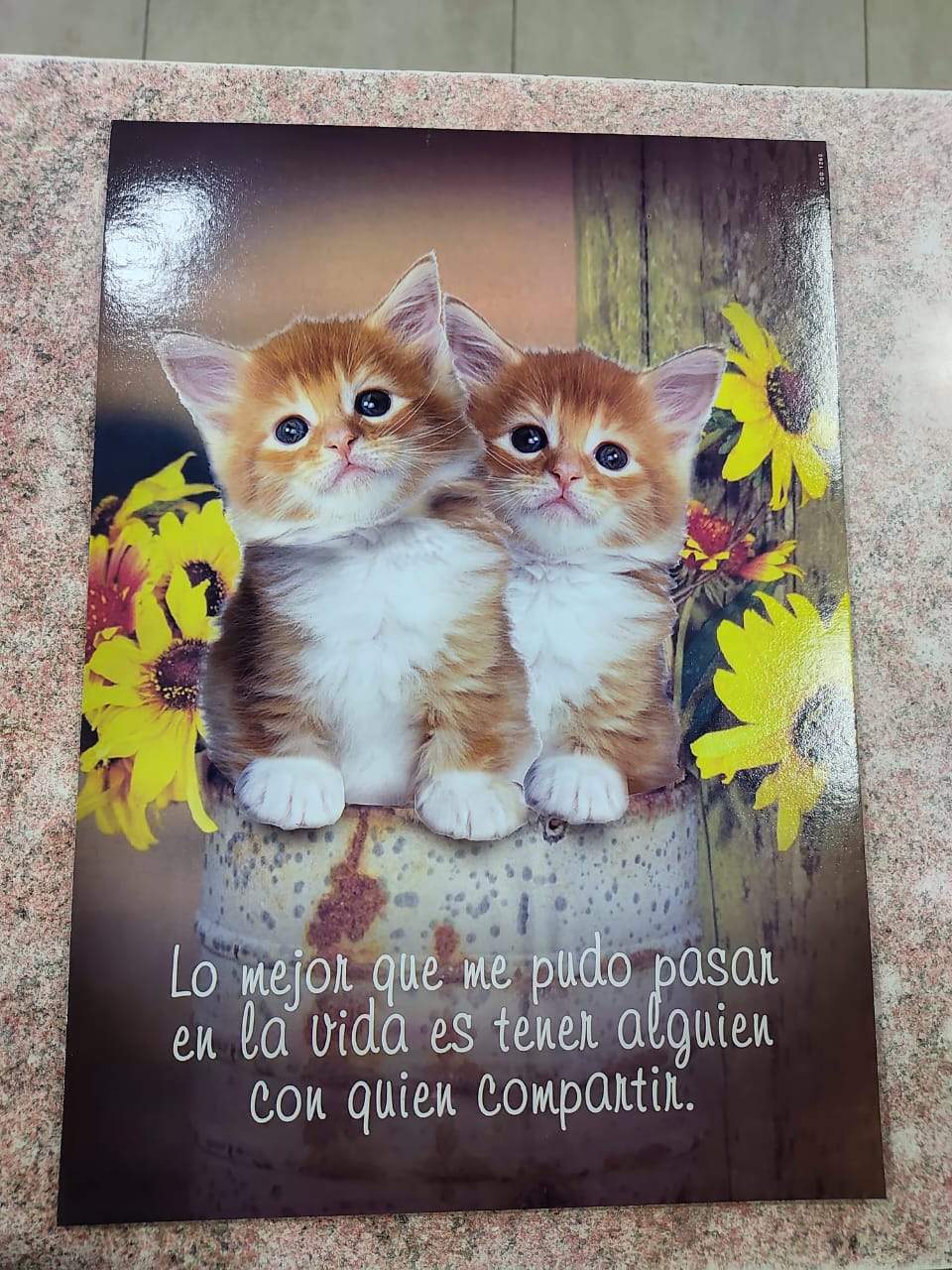 ¡LÁMINAS MEDIANAS: EL TAMAÑO PERFECTO PARA APRENDER Y DECORAR! 🤩✨